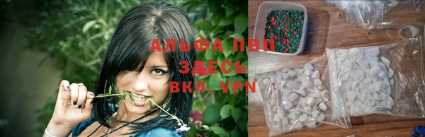 Альфа ПВП Белокуриха