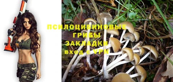 Альфа ПВП Белокуриха
