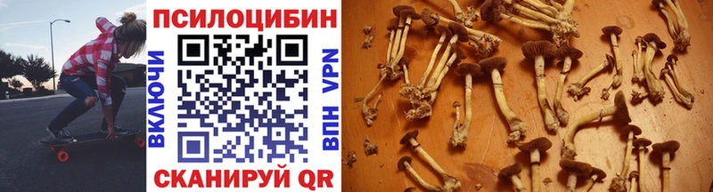 Купить закладки  Обнинск  Галлюциногенные грибы Psilocybine cubensis 